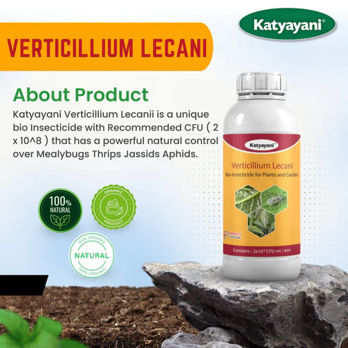 Verticillium lecanii Bio pesticide