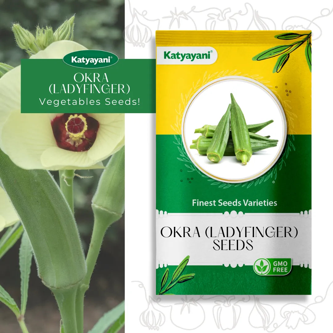 Okra (lady finger) Vegetable Seeds