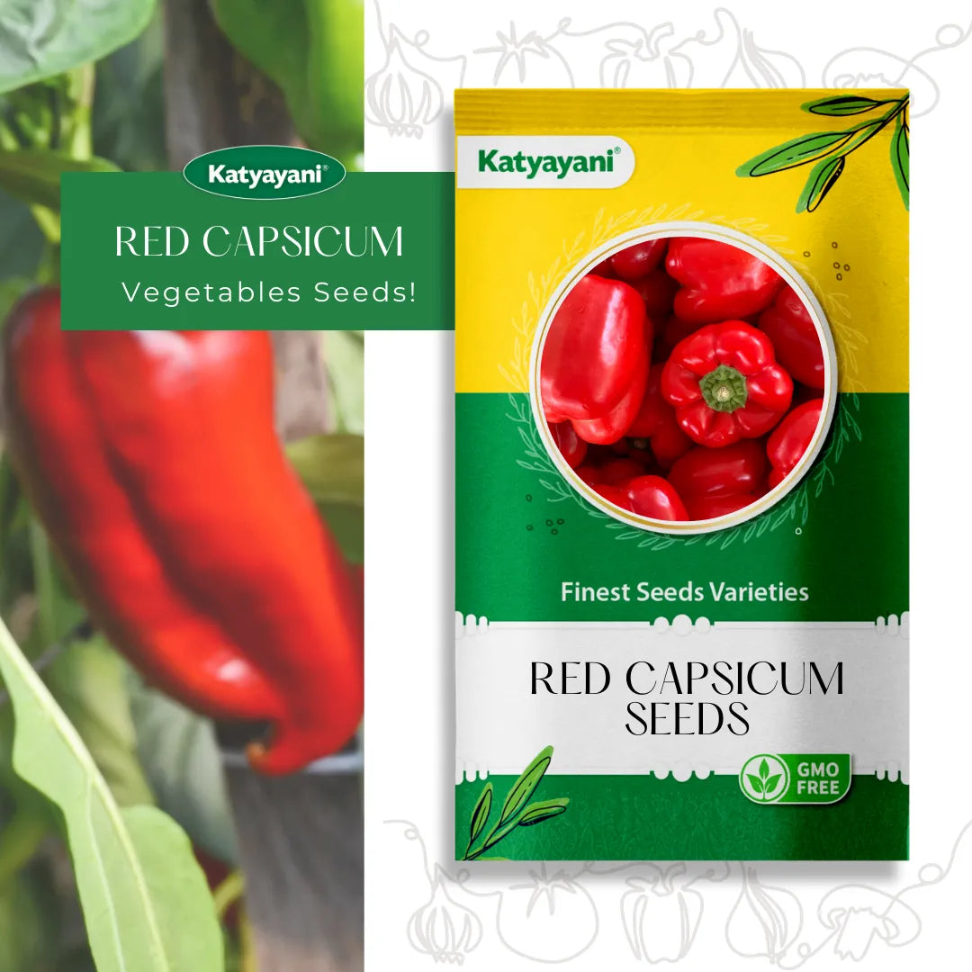 Red Capsicum Vegetable Seed