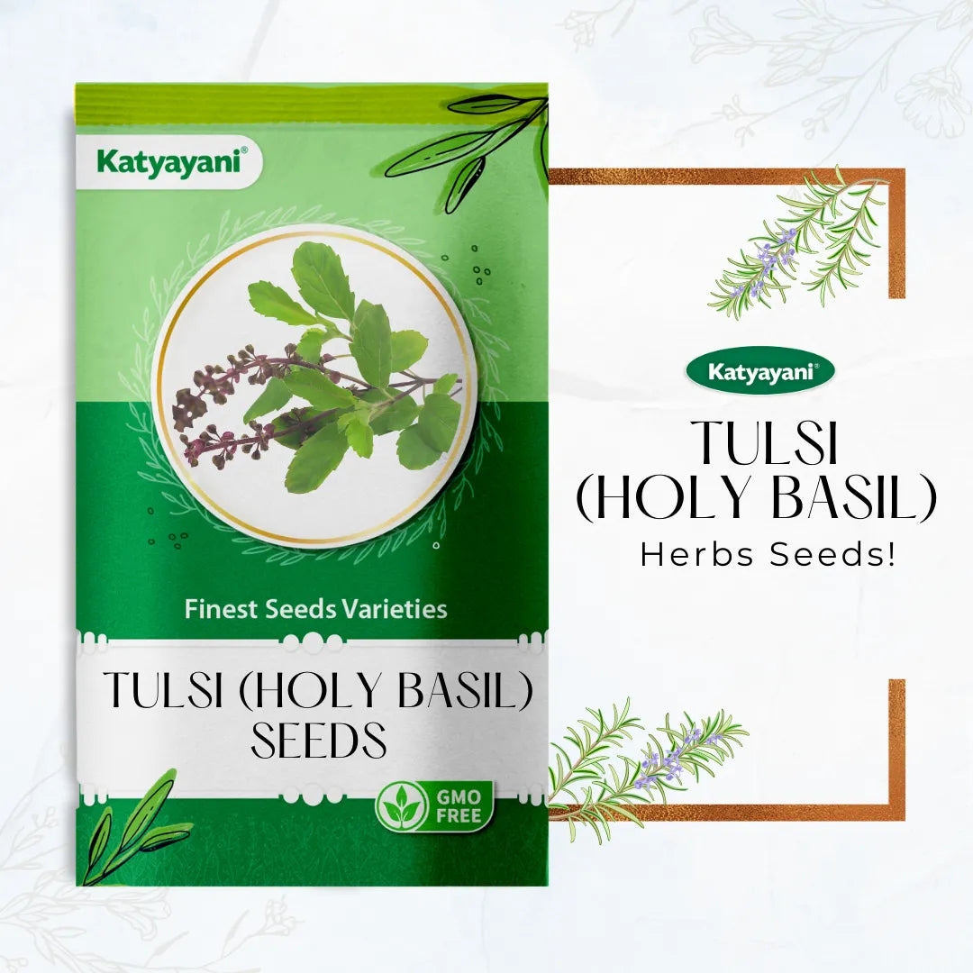 Tulsi  (Holy Basil) Herb seeds