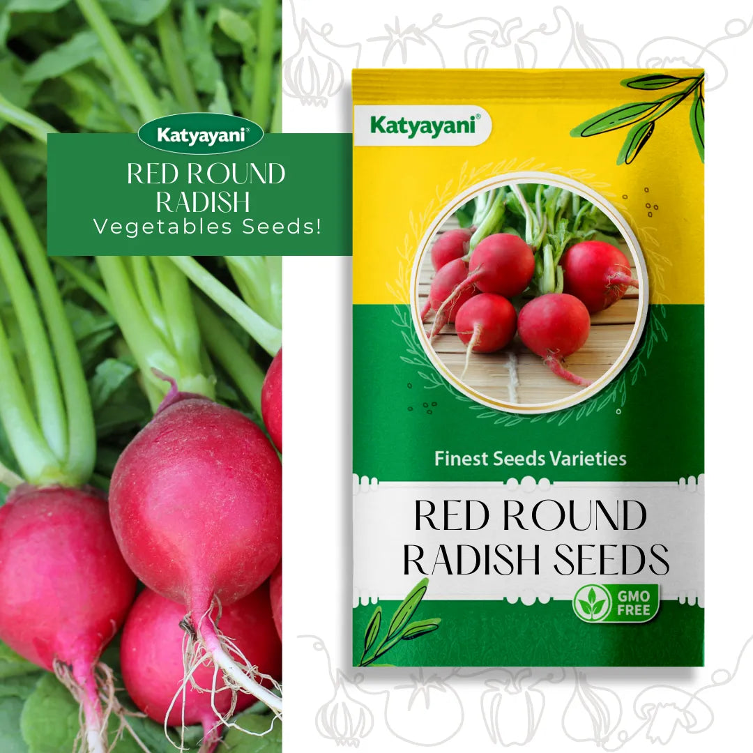 Red Round Radish Vegetable Seeds