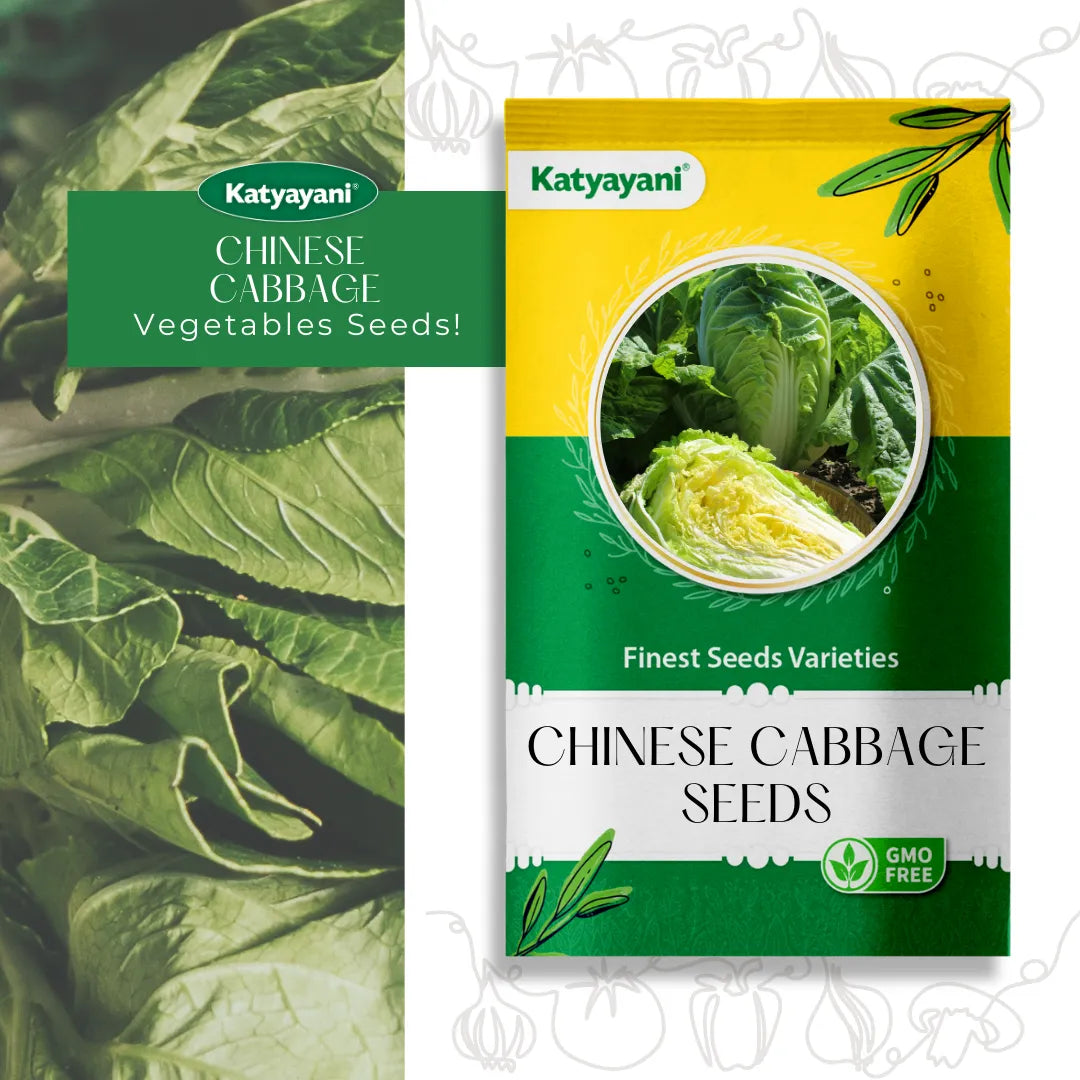 Chinese Cabbage Vegetable Seeds