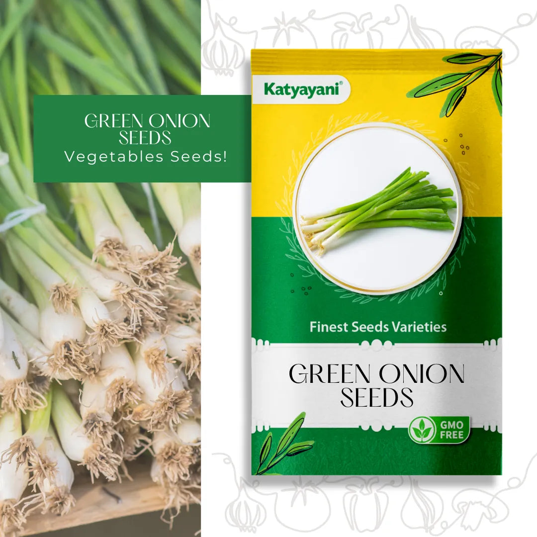 Green Onion (Leek) Vegetable Seeds