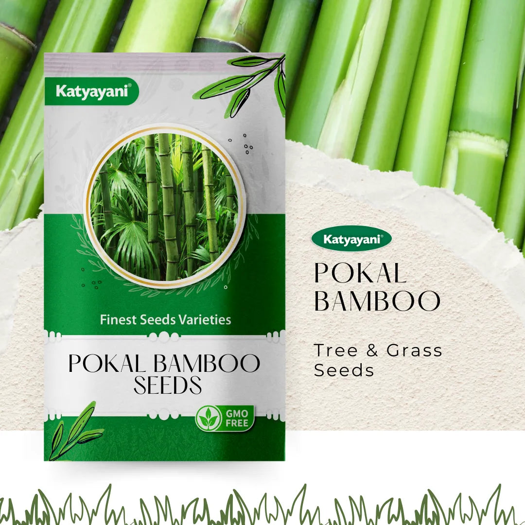 Pokal Bamboo 100 g Tree and Grass seeds