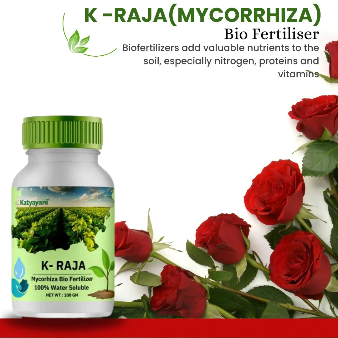 Rose Flower Plant Booster Kit (Trichoderma Harzianum)1 kg,(K Raja)100gm,(Root Fast) 100GM