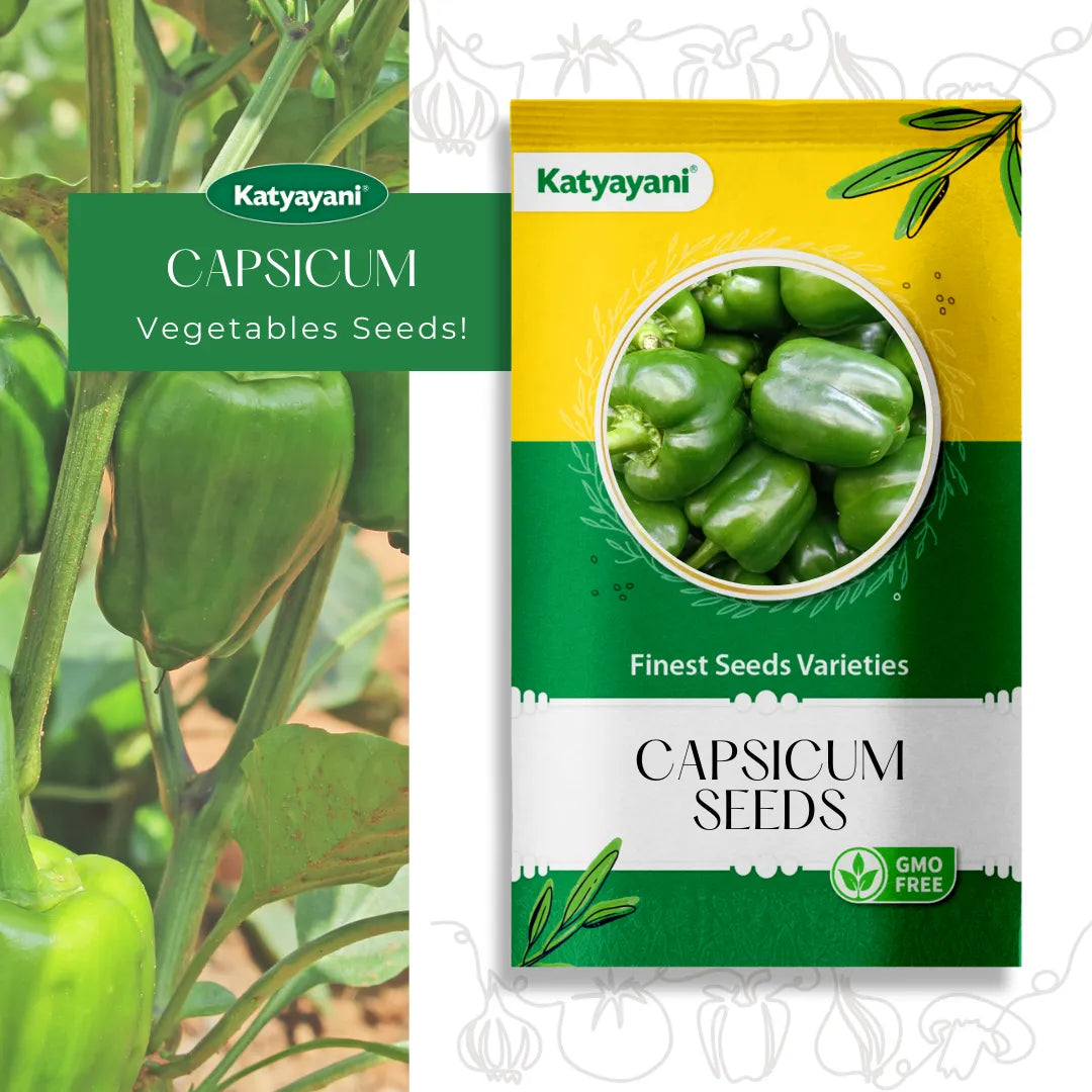 Capsicum Vegetable Seed