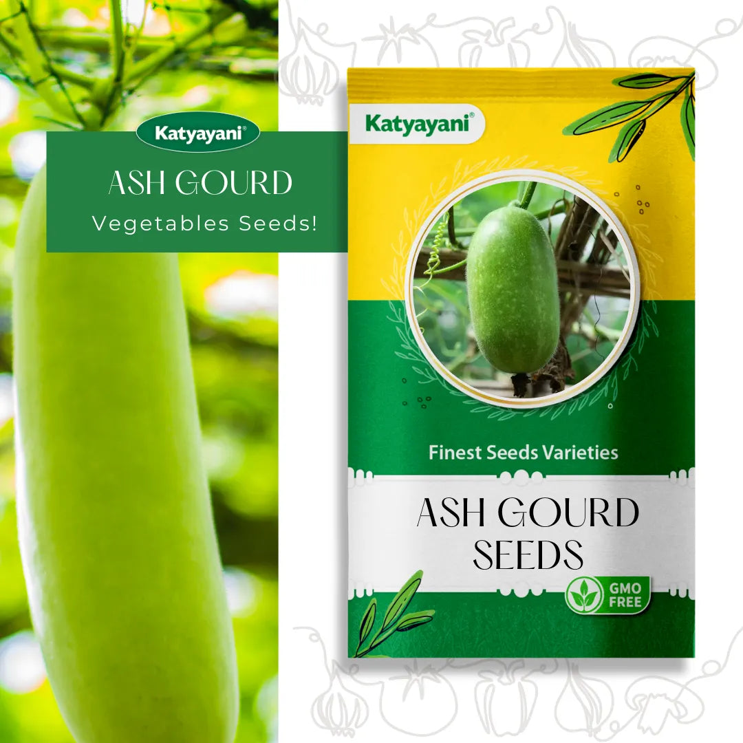 Ash Gourd Vegetable Seeds