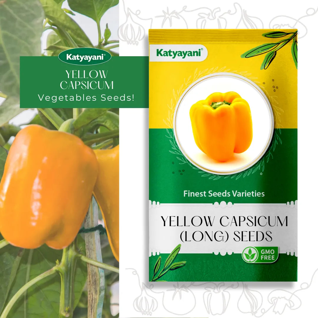 Yellow Capsicum Vegetable Seeds