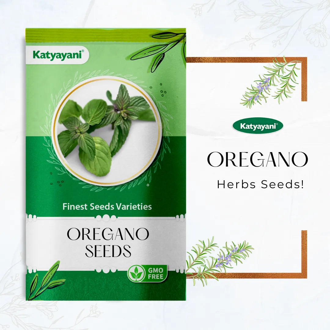 Oregano Herb seeds