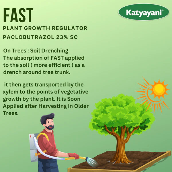 Fast - Paclobutrazol 23% SC : Plant Growth Regulator Mango