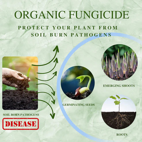 All In 1 Organic Fungicide