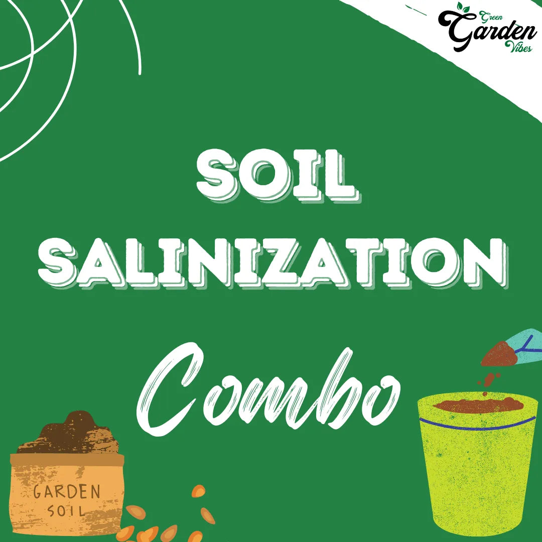 Soil Salinization Kit