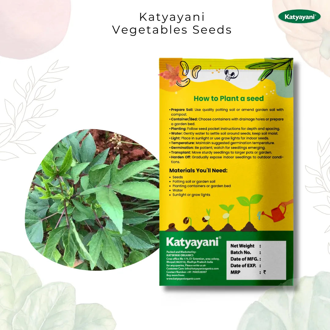 Gongura  (Ambadi) Vegetable Seeds