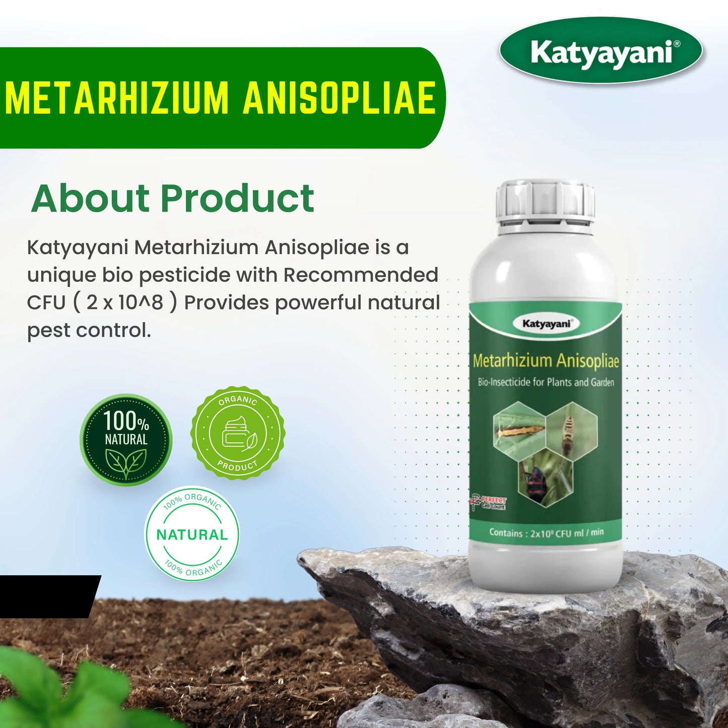 Metarhizium anisopliae Bio pesticide