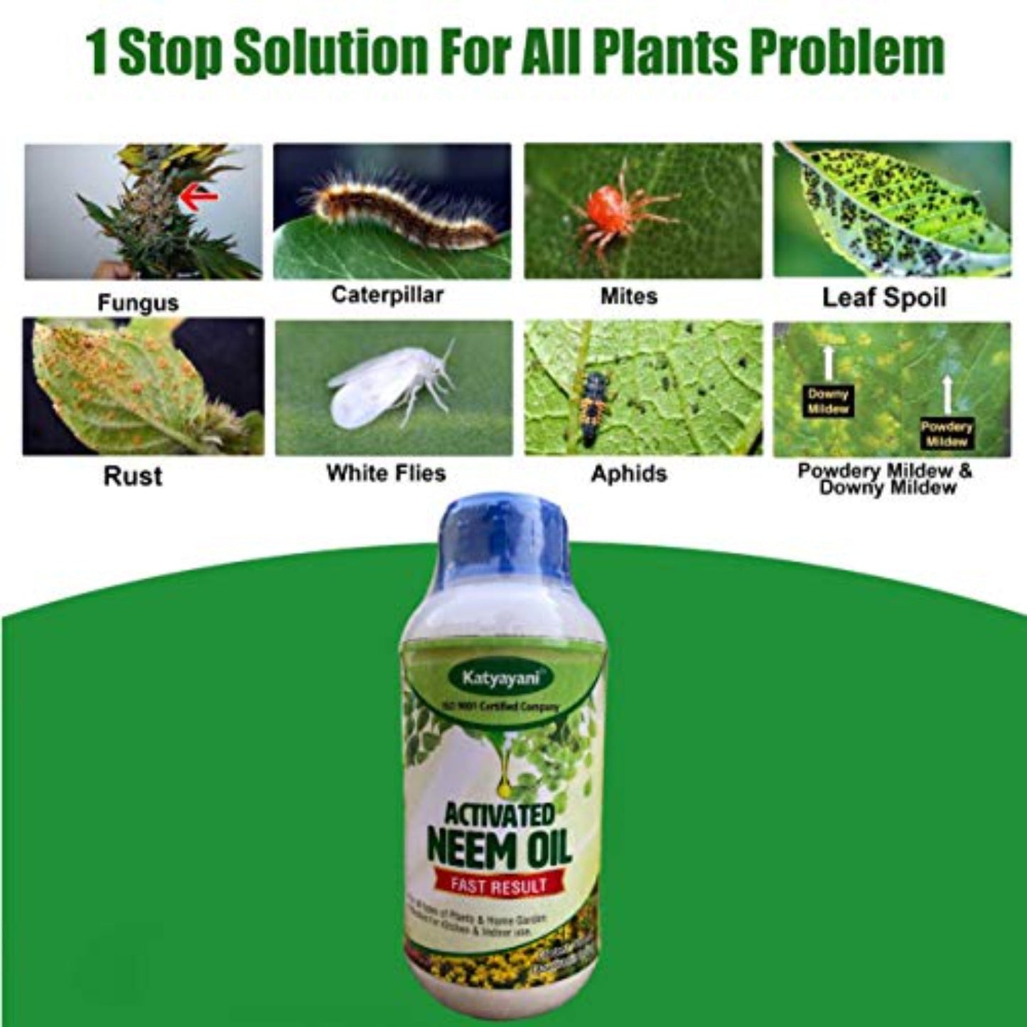 NPK 19 19 19 Plant Food Fertilizer with Booster for Plants & Home Garden