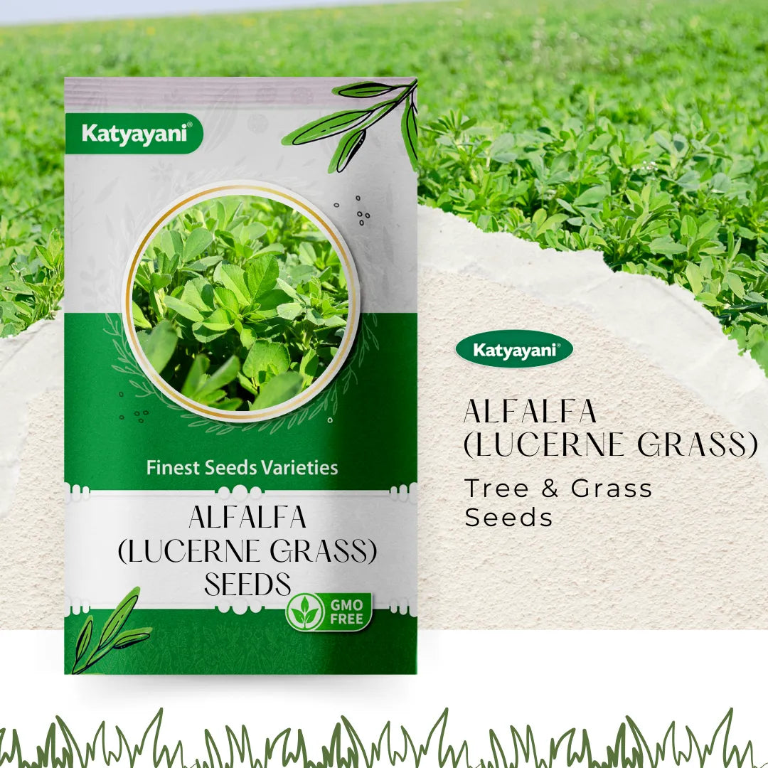 Alfalfa  (Lucerne Grass) Tree and Grass seeds