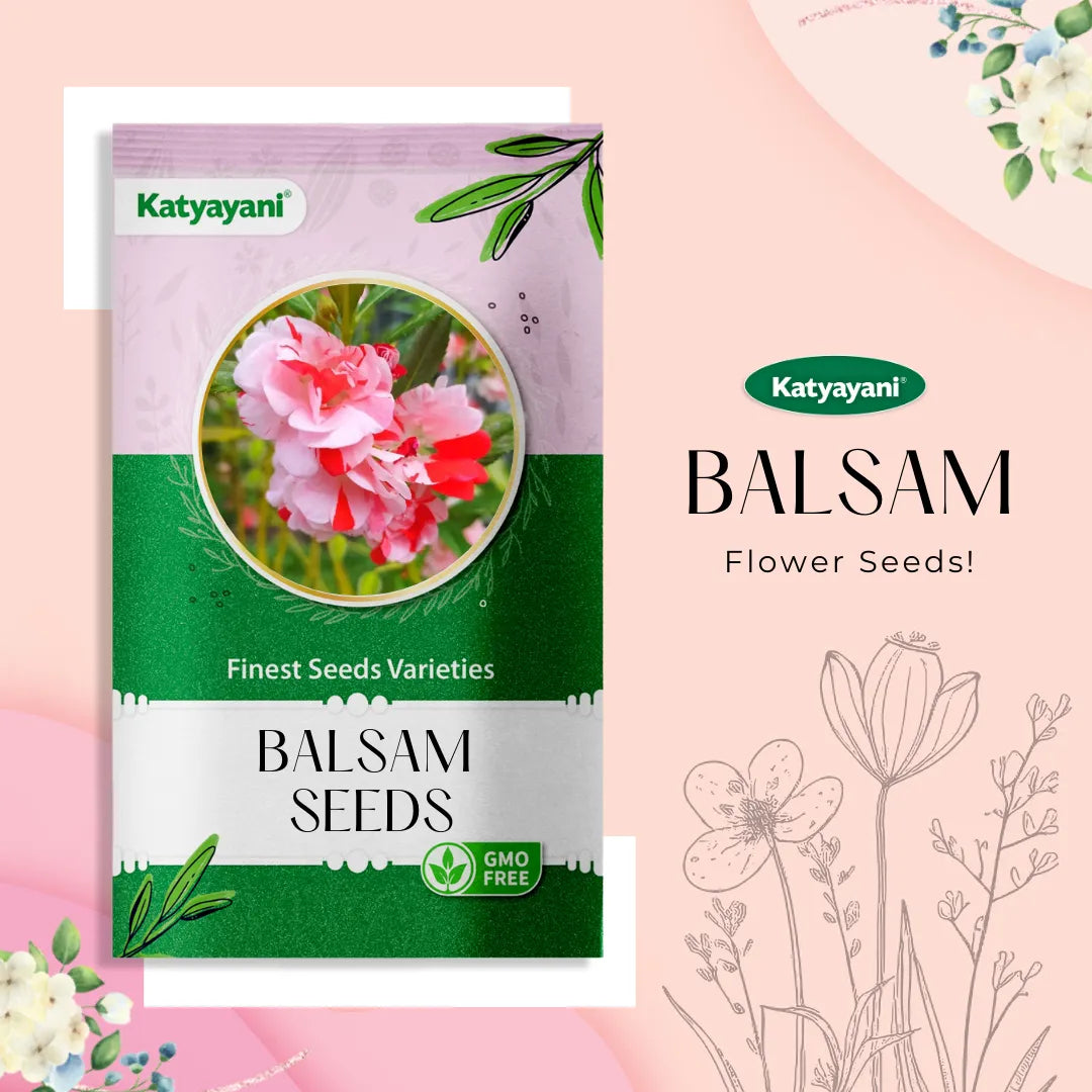 Balsam Mix Flowering Seeds