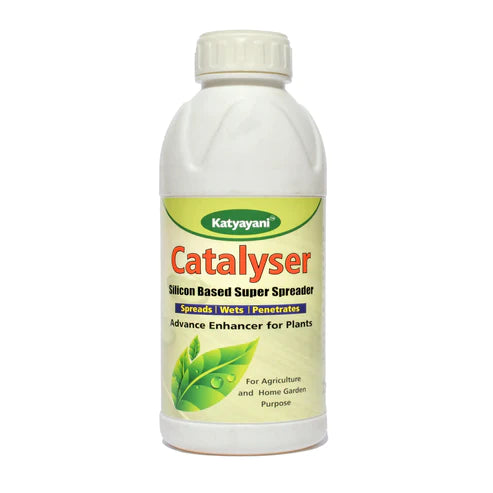 Catalyser Silicon Super Spreader